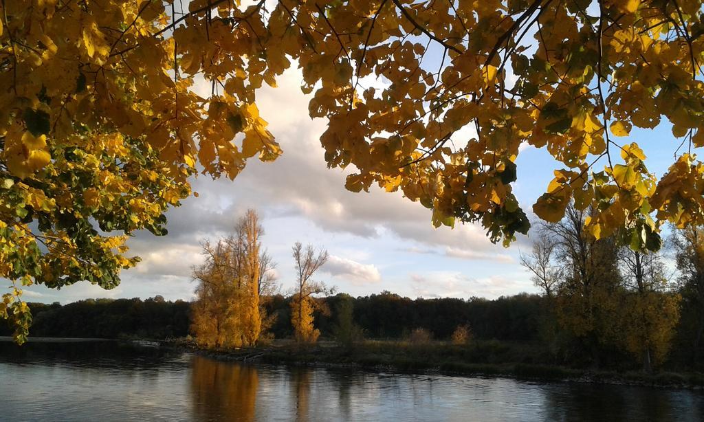 Ousson-sur-Loire La Chaumiere B&B 외부 사진