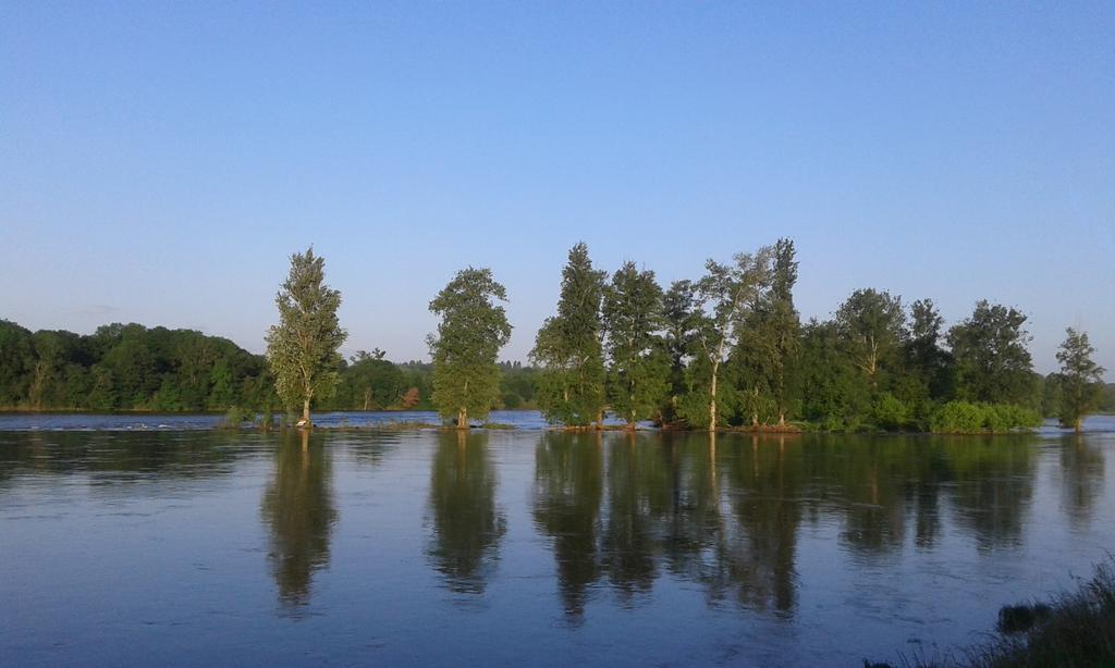 Ousson-sur-Loire La Chaumiere B&B 외부 사진