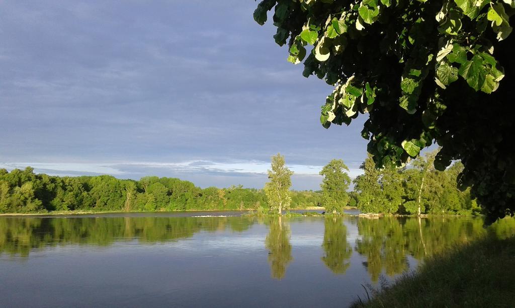Ousson-sur-Loire La Chaumiere B&B 외부 사진