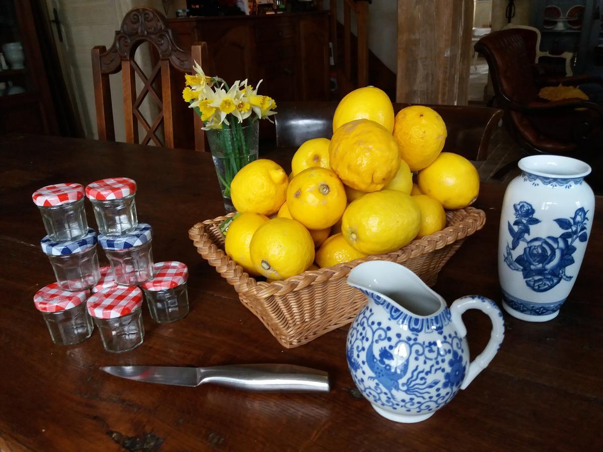 Ousson-sur-Loire La Chaumiere B&B 외부 사진